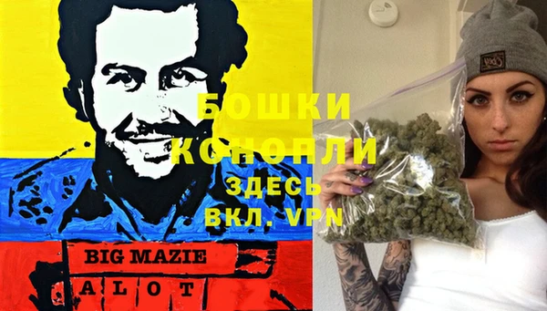 хмурый Белая Холуница