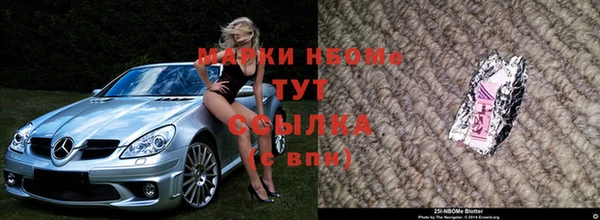 хмурый Белая Холуница