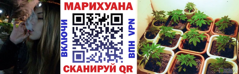 Бошки марихуана марихуана  МЕГА tor  Усолье 